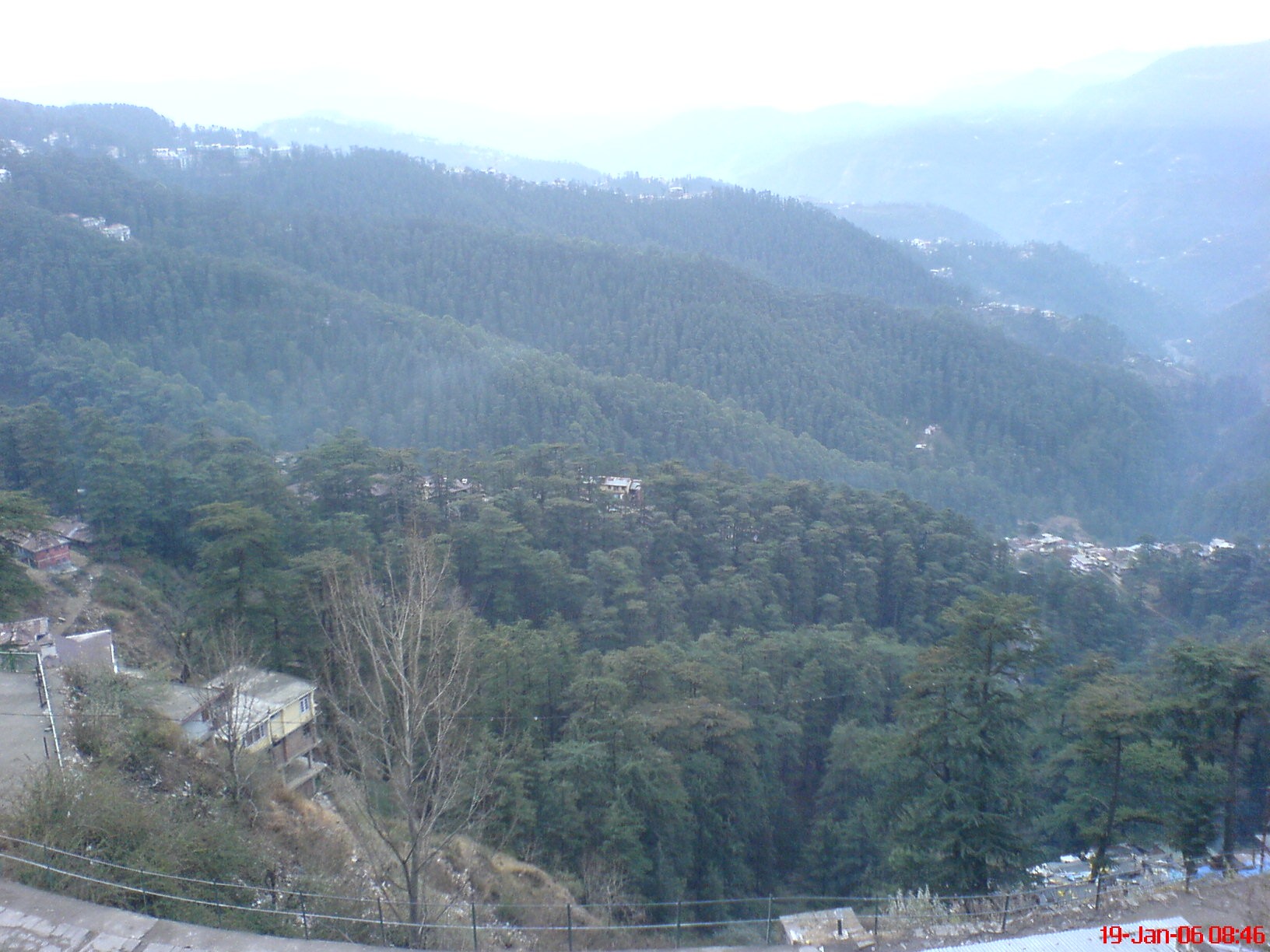 Shimla Town cover